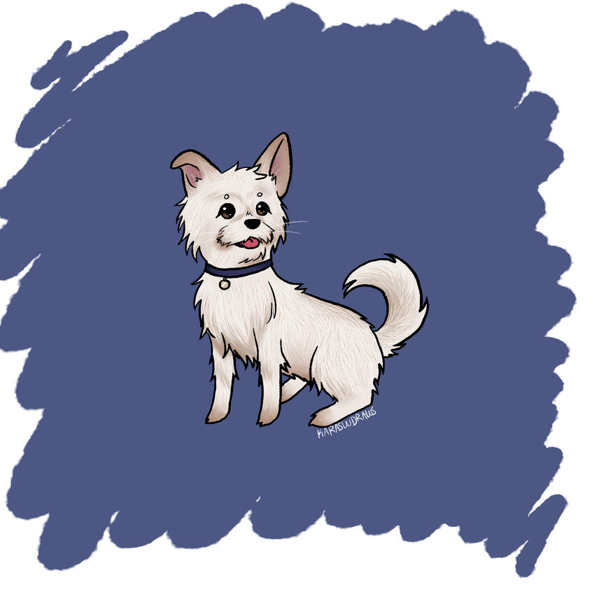 Pet Drawing 2